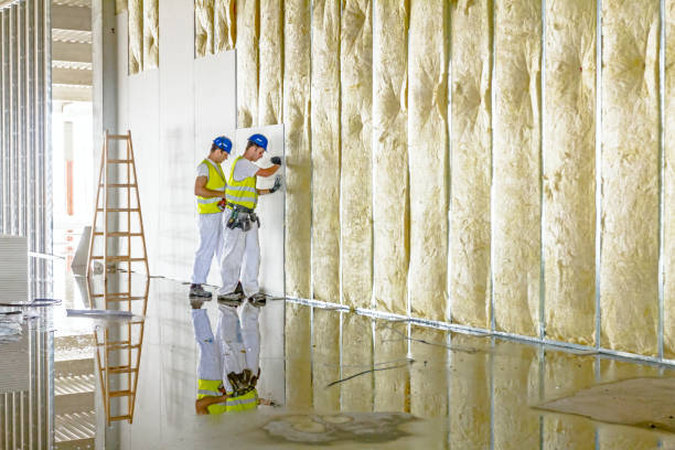 Best Geographic-Specific Insulation Services in Westernport, MD